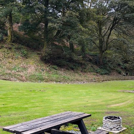 Bear Cottage, Tyn Y Cwm Eglwys-Fach المظهر الخارجي الصورة