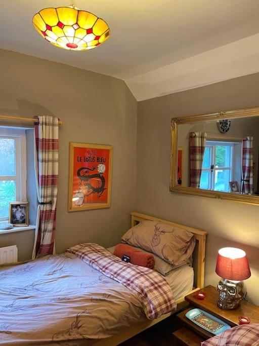 Bear Cottage, Tyn Y Cwm Eglwys-Fach المظهر الخارجي الصورة